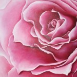 "Rosa" Técnica Mista da Artista Plástica Ângela Stroppa